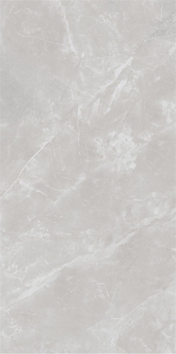 Grey patio porcelain paving slabs interior